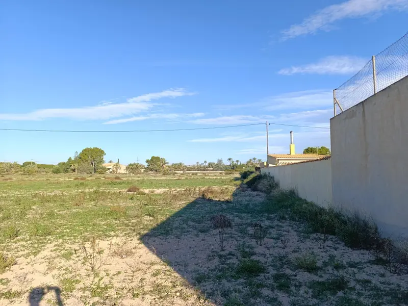 Landhuis in Elche, Costa Blanca — foto 2 van 6