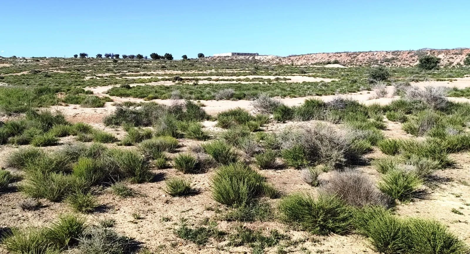 Landhaus in Desconocido, Costa Blanca — Foto 1 von 6