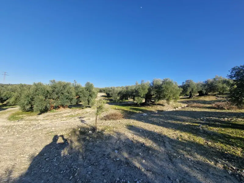 Загородный дом en Desconocido, Costa Blanca — фото 6 из 15