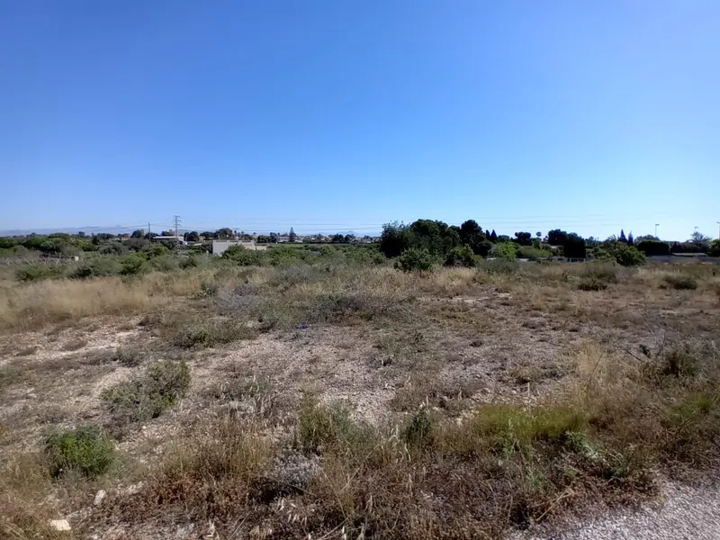 Landhuis in Elche, Costa Blanca — foto 8 van 10