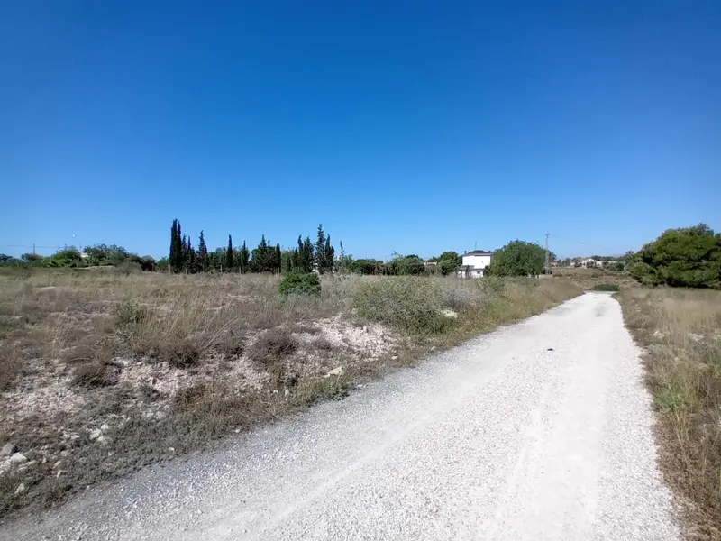Landhuis in Elche, Costa Blanca — foto 9 van 10