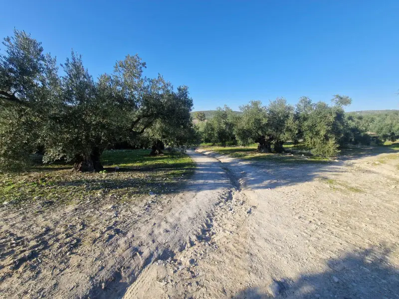Загородный дом en Desconocido, Costa Blanca — фото 3 из 15