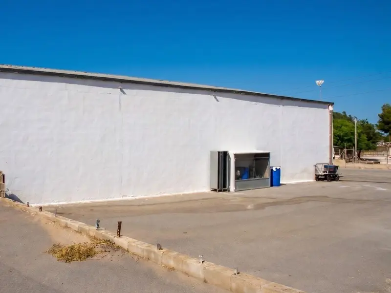 Local comercial en Elche, Costa Blanca — foto 2 de 20