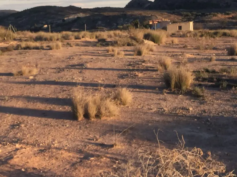 Terreno en Elche, Costa Blanca — foto 3 de 5