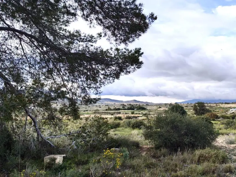 Casa de campo en Elche, Costa Blanca — foto 6 de 8