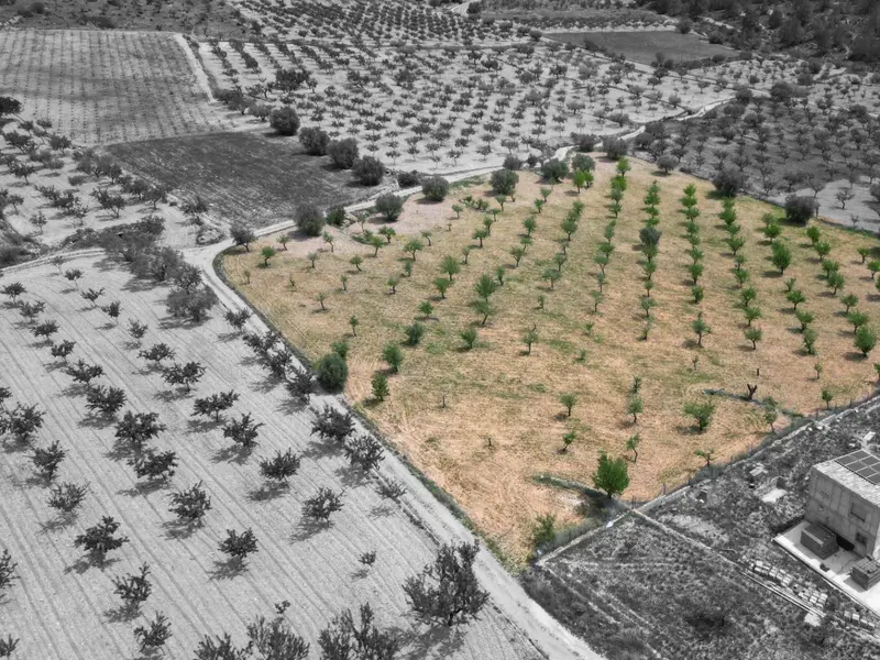 Land in La Romana, Costa Blanca — photo 6 of 16