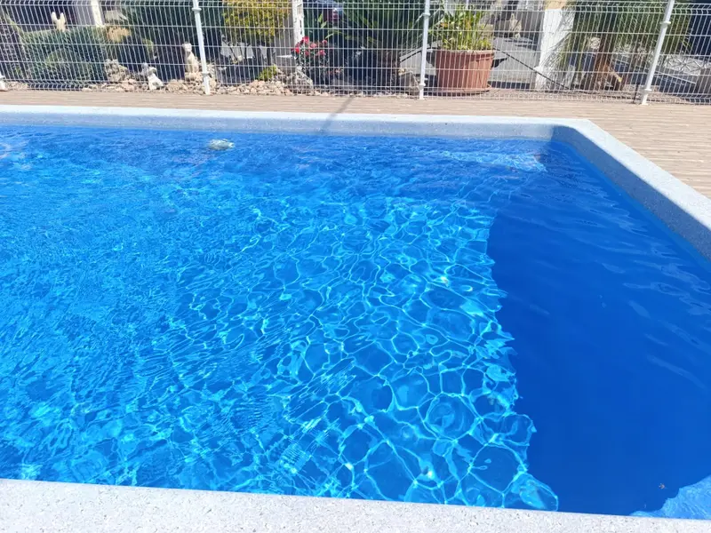 فيلا de 7 dormitorios en Elche, Costa Blanca — صورة 2 من 30