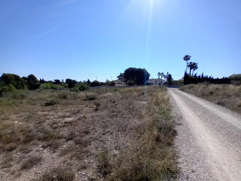 Landhuis in Elche, Costa Blanca — foto 7 van 10