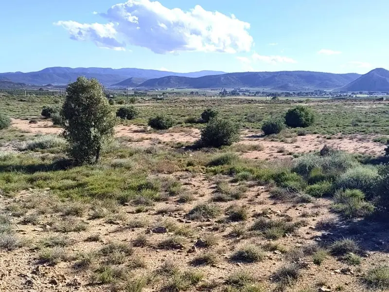 Casa de campo en Desconocido, Costa Blanca — foto 4 de 8