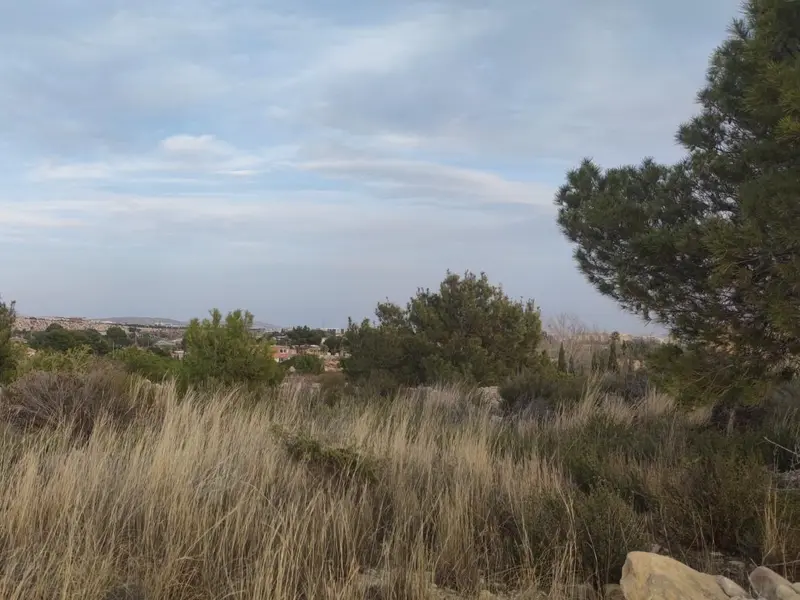 Land in Elche, Costa Blanca — photo 9 of 14