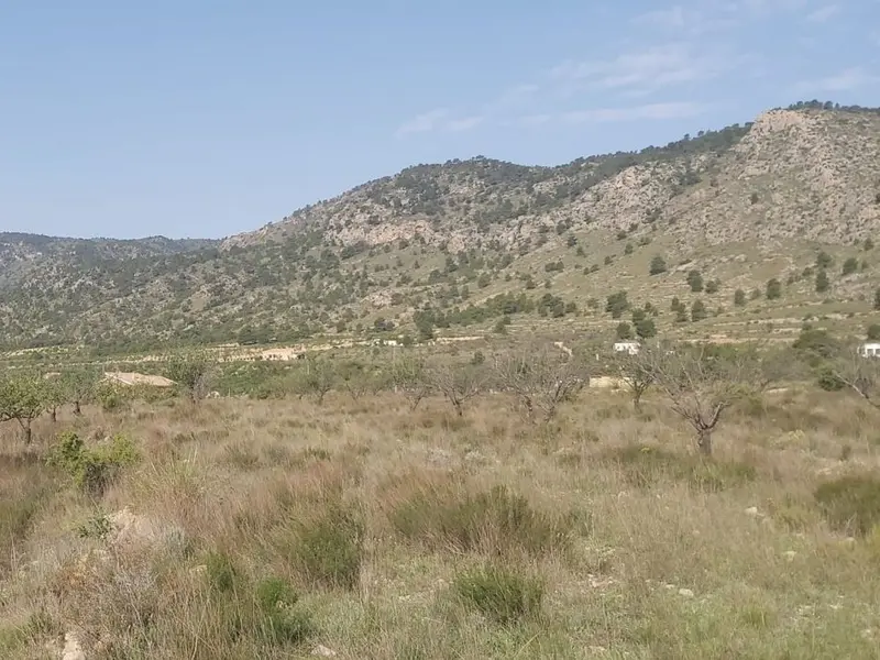Terreno en Desconocido, Costa Blanca — foto 6 de 11