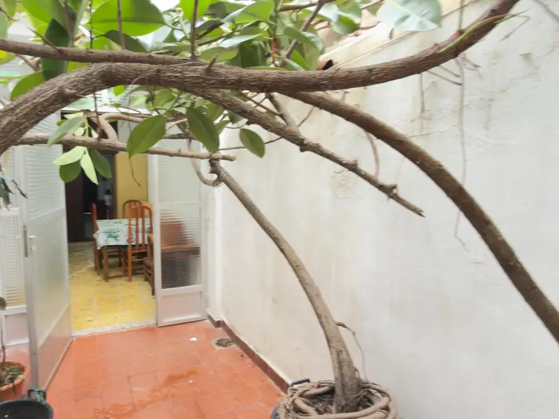 Townhouse with 4 bedrooms in Oliva, Costa Blanca — photo 22 of 30
