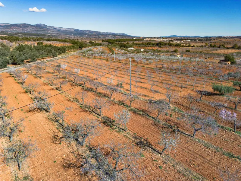 Участок en Desconocido, Costa Blanca — фото 11 из 16