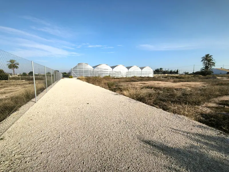 Landhuis in Elche, Costa Blanca — foto 21 van 30