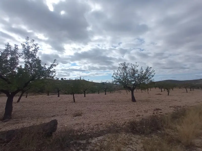 Land in Abanilla, Costa Blanca — photo 3 of 4
