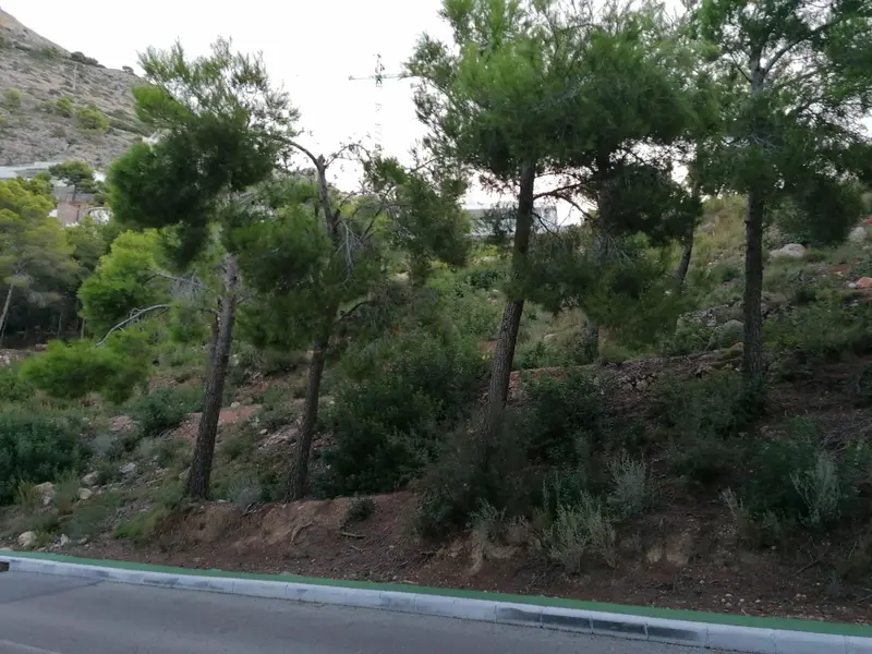 Land in Altea, Costa Blanca — photo 4 of 4