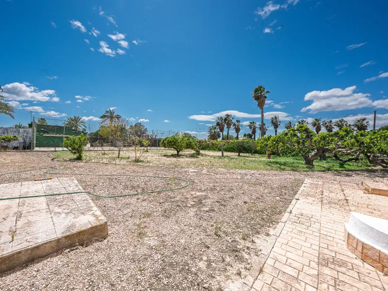 Villa with 4 bedrooms in Elche, Costa Blanca — photo 20 of 30