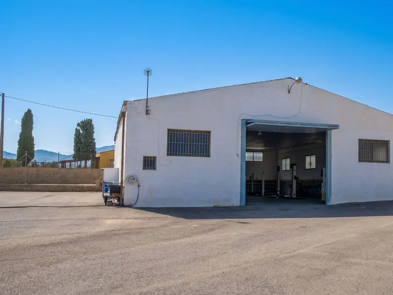 Local comercial en Elche, Costa Blanca — foto 1 de 20