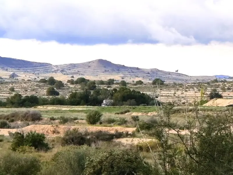 Casa de campo en Elche, Costa Blanca — foto 7 de 8