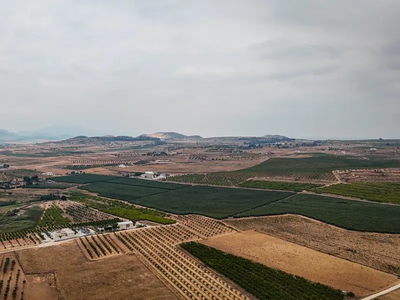 Landhaus in Pinoso, Costa Blanca — Foto 8 von 10