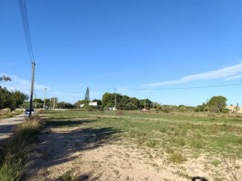 Landhuis in Elche, Costa Blanca — foto 3 van 6