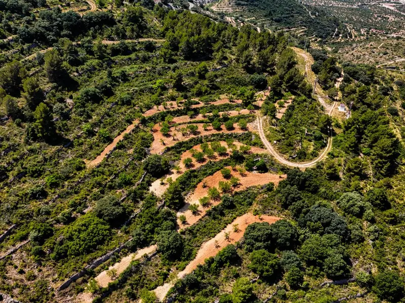 أرض en Desconocido, Costa Blanca — صورة 14 من 30