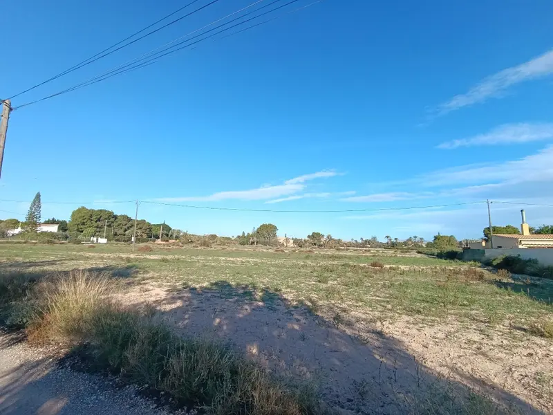 Landhuis in Elche, Costa Blanca — foto 6 van 6
