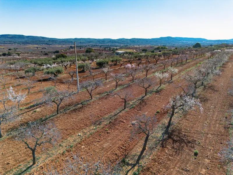Участок en Desconocido, Costa Blanca — фото 7 из 16