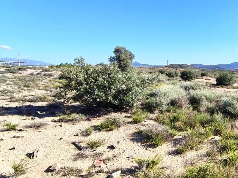 Casa de campo en Desconocido, Costa Blanca — foto 2 de 8
