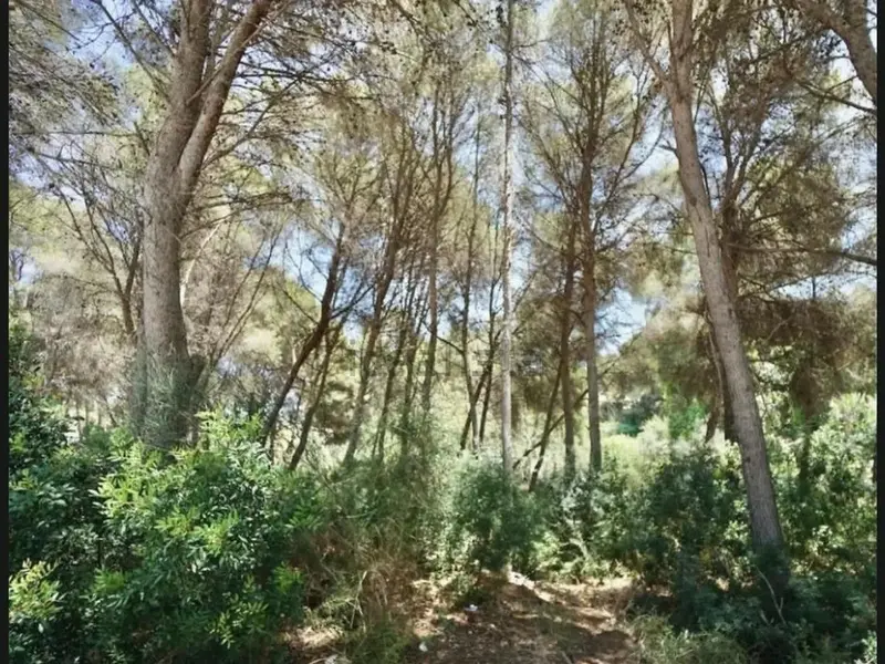 Grundstück in Moraira, Costa Blanca — Foto 3 von 3