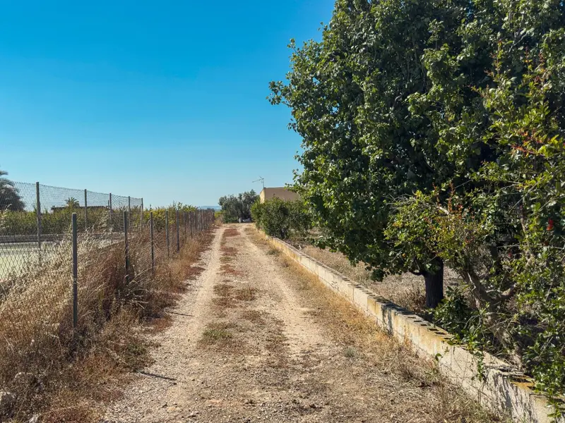 Casa de campo en Crevillent, Costa Blanca — foto 16 de 30