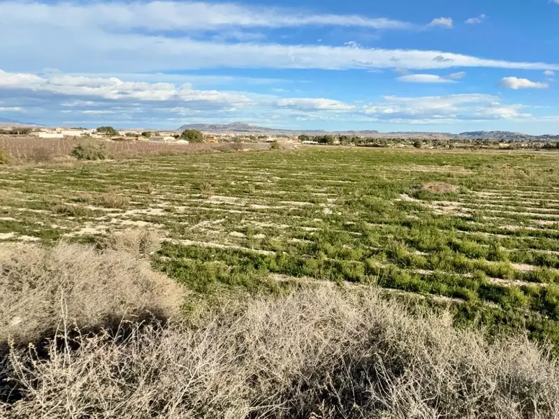 Casa de campo en Novelda, Costa Blanca