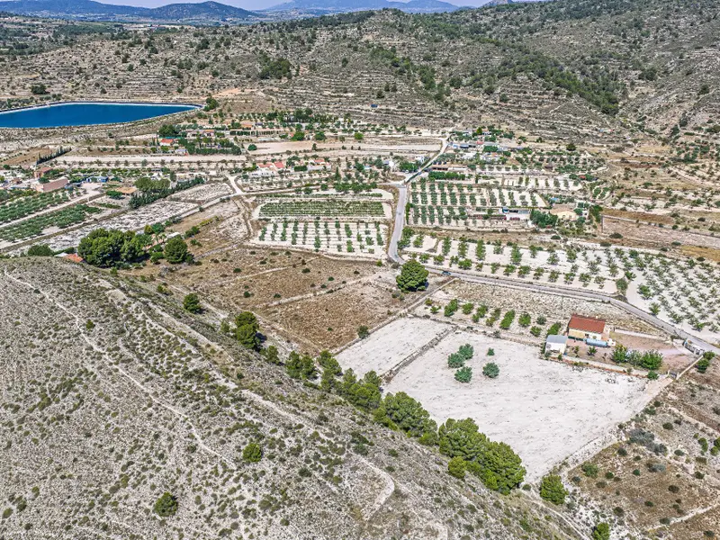 Участок en Monóvar, Costa Blanca — фото 8 из 15