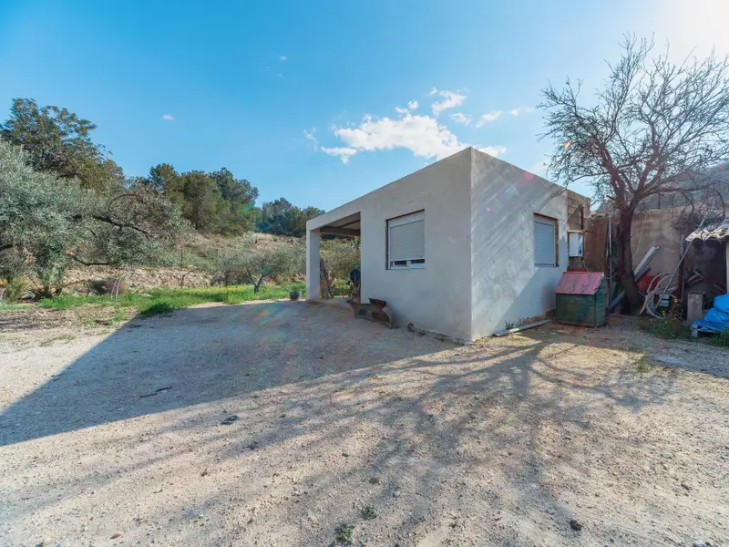 Villa met 5 slaapkamers in Elche, Costa Blanca — foto 26 van 30
