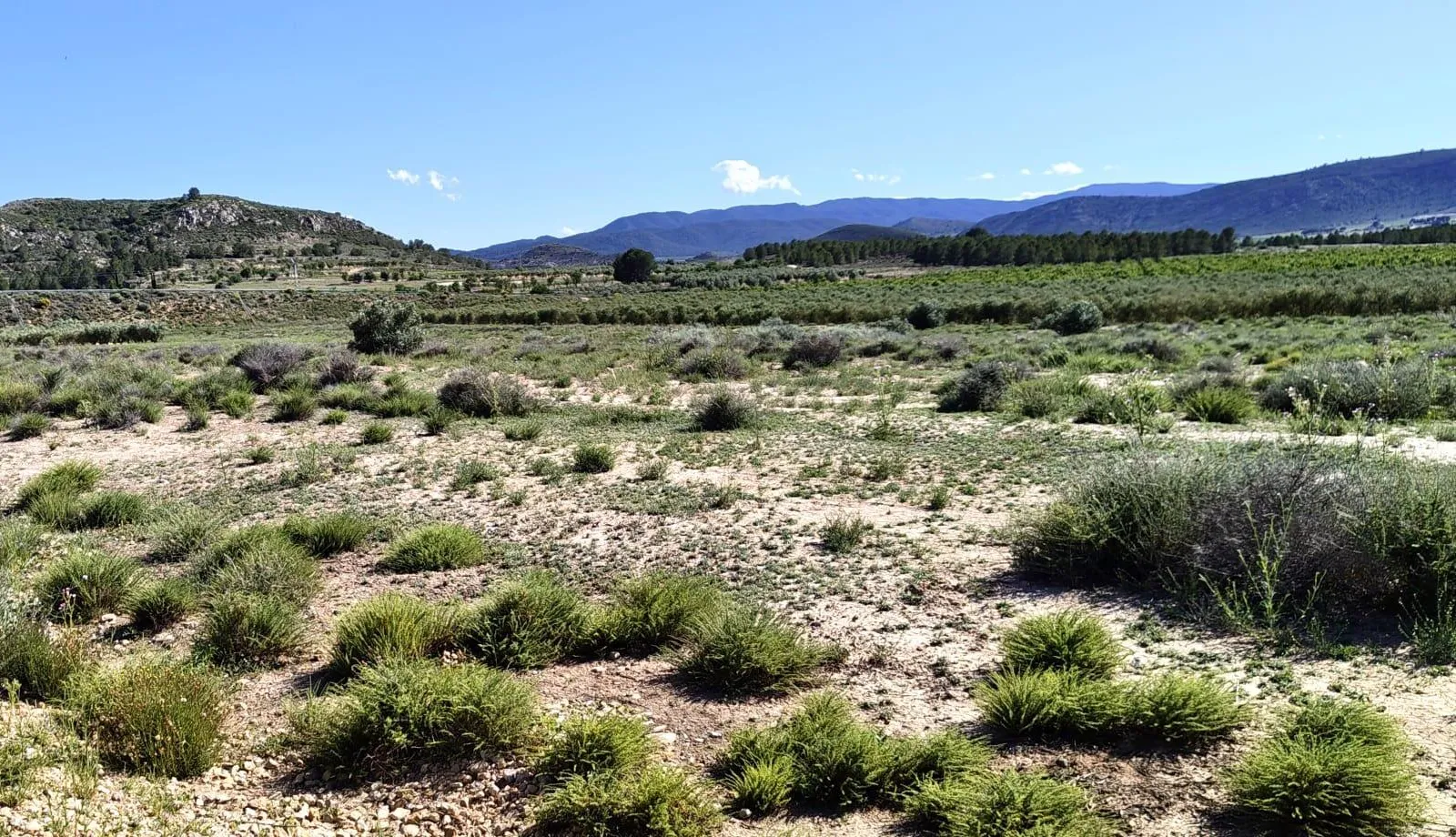 Landhaus in Desconocido, Costa Blanca — Foto 1 von 6
