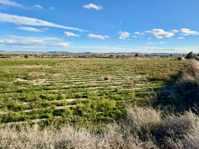 Landhuis in Novelda, Costa Blanca — foto 4 van 8