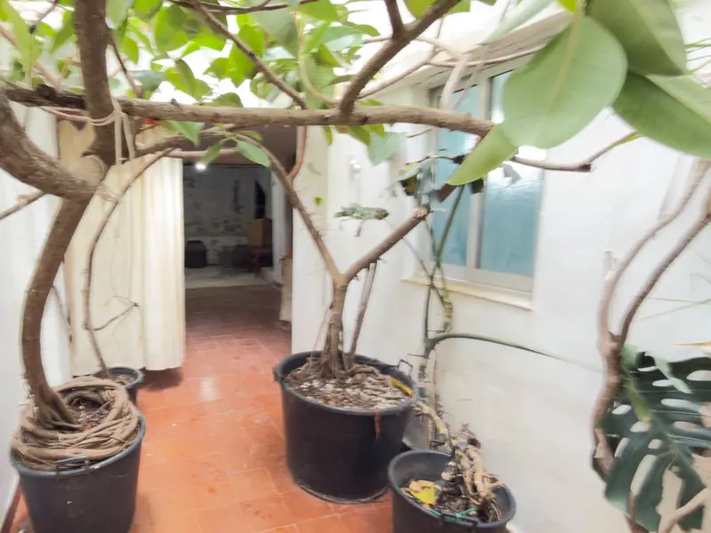Townhouse with 4 bedrooms in Oliva, Costa Blanca — photo 21 of 30
