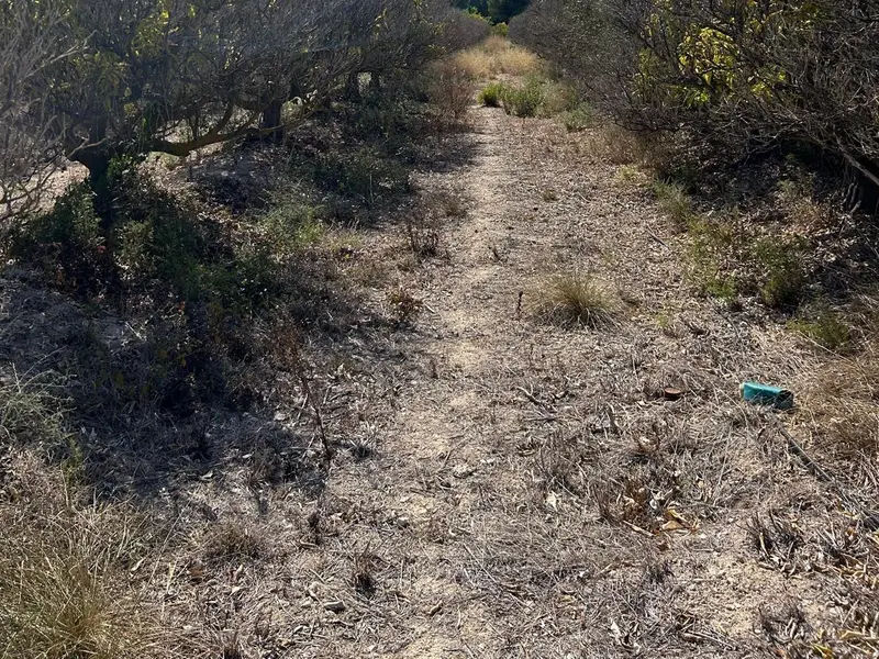 Земельна ділянка у Jávea, Коста-Бланка — фото 3 з 10