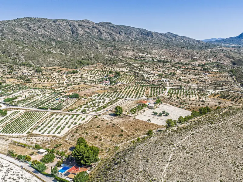 Участок en Monóvar, Costa Blanca — фото 11 из 15
